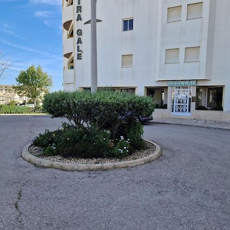 Apartamento T2 Palmeira Gale-Praia Da Gale Guia  Eksteriør bilde